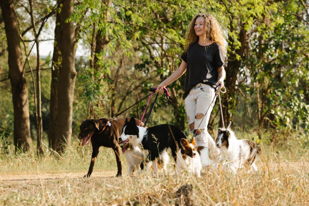 Dog walker
