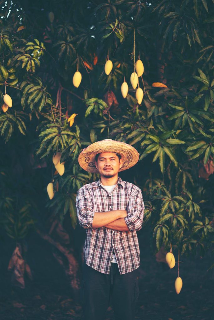 Farmer