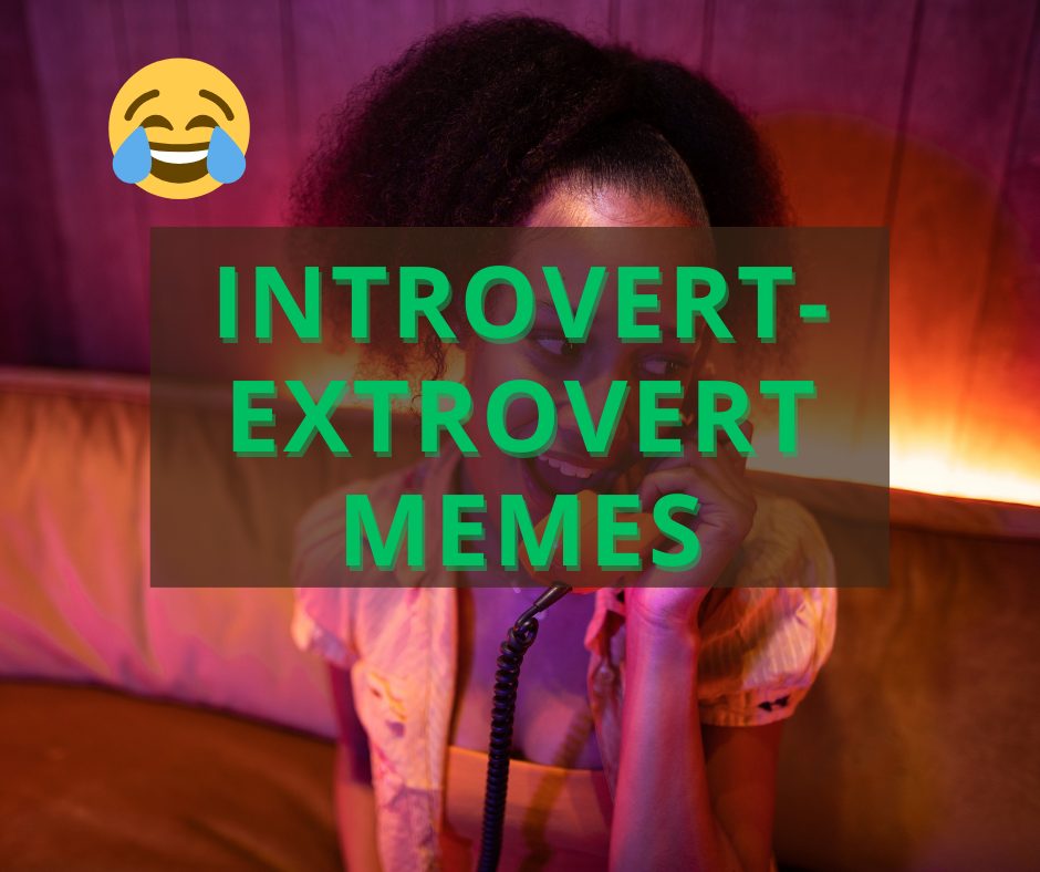Introvert vs Extrovert Memes